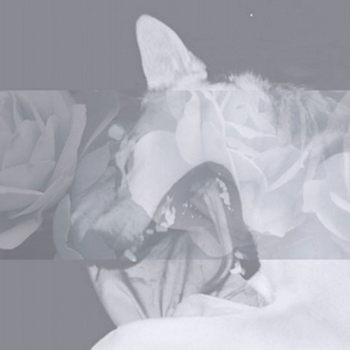 Wire Spine : Wire Spine : Demos